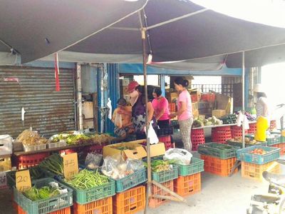 早安美麗的台灣!