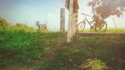 奇奇的晨間時光