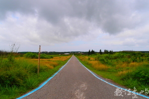 20150604拍攝於湖西