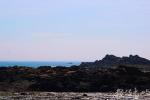 20150602拍攝於學仔尾010