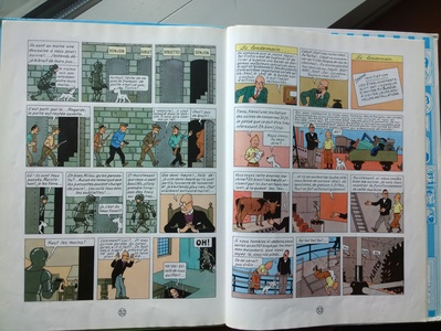 tin tin