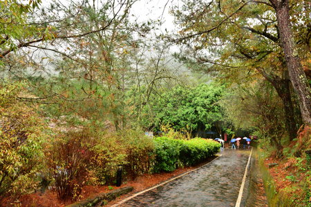 島雨和相關其他