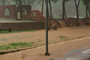 暴雨中的嘉義公園 