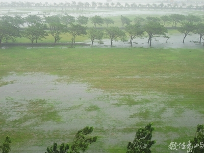 島雨