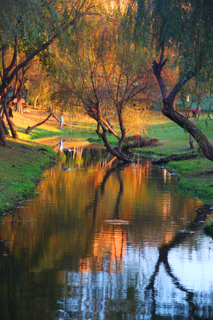 飛羽 小孩 彩水影