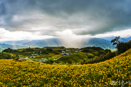島‧雨