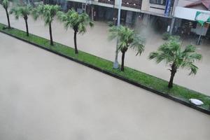 島‧雨--颱風帶來的雨
