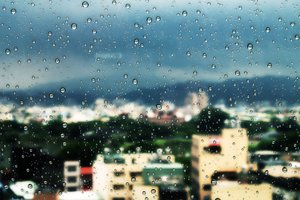 島‧雨--城市輪廓