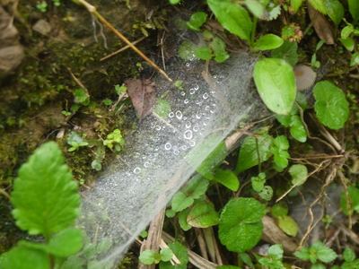 島‧雨