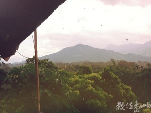 夏雨山居