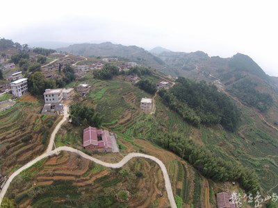 20160109福建泉州安溪茶園空拍