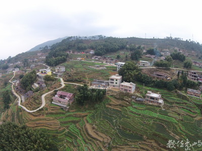 20160109福建泉州安溪茶園空拍