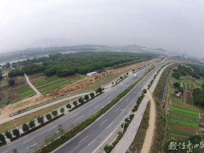 20160109福建泉州安溪茶園空拍