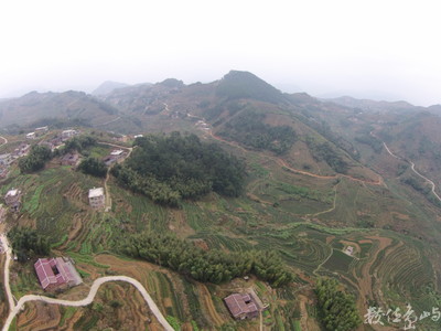 20160109福建泉州安溪茶園空拍