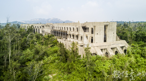綠色叢林裡的迴旋刀型廢棄旅館
