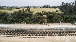 20180415金門金寧小麥石蚵節北山蚵田海提千人剖蚵活動