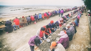 20180415金門金寧小麥石蚵節北山蚵田海提千人剖蚵活動