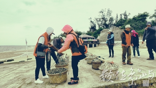 20180415金門金寧小麥石蚵節北山蚵田海提千人剖蚵活動