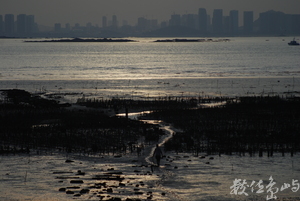 2017年台南321巷聚落《書•影》 / 陳旺展金門影像紀錄展