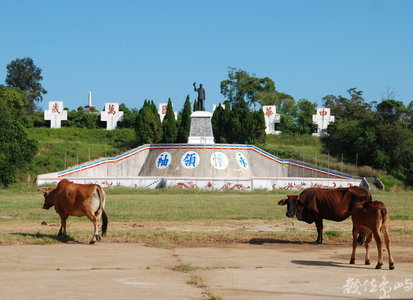 陳旺展金門影像紀錄展(《書•影》 / 台南321巷聚落)