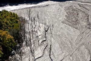 山林的美麗與哀愁