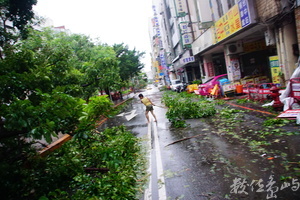 颱風過後
