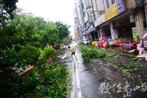 颱風過後
