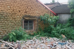 土角厝旁的貓咪