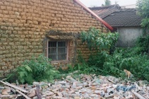 土角厝旁的貓咪