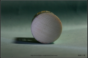 象牙雕_鳥與鳥籠_11