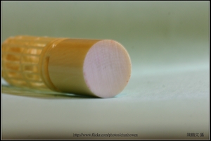 象牙雕_鳥與鳥籠_10