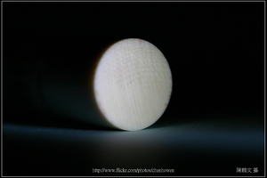 象牙雕_鳥與鳥籠_10