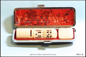 象牙雕_鳥與鳥籠_2