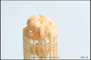 象牙雕_鳥與鳥籠_4