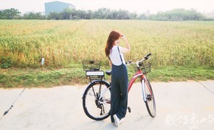 浯島輕鬆騎行之聞麥田香味喝麥香飲料