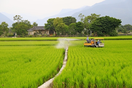 農村與我