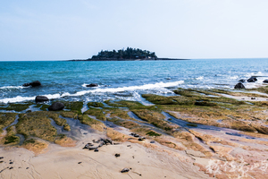 烈嶼青岐南山頭綠石槽