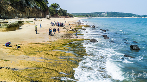 烈嶼青岐南山頭綠石槽