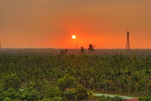 檳榔樹梢的列車