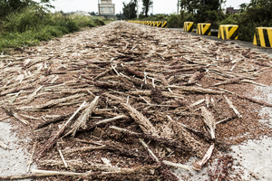 壓馬路順便壓高粱米