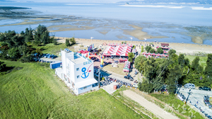 2018來去烈嶼拔芋頭