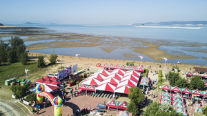 2018來去烈嶼拔芋頭