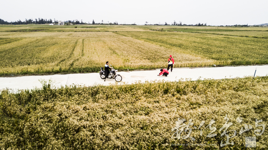 金門沙尾八卦老街彩色燈籠高高掛外拍寫真