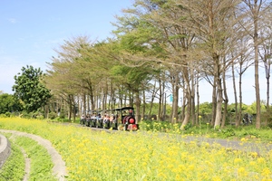 熱帶農業博覽會