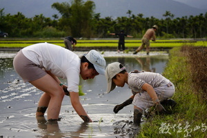 一起種下新生命