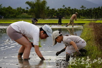 一起種下新生命