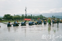 水田泥漿拔河比賽