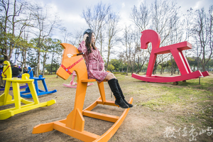 金門林務所女網紅男鮮肉打卡心熱點之歡樂搖滾搖搖馬