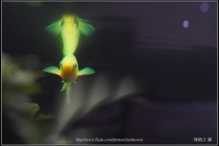 德國 LEICA 徠卡 鏡頭 攝影集