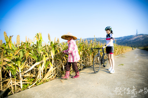 藝起尋風 遊樂金沙 單車穿越高粱田 微醺穿越沙尾八卦老街